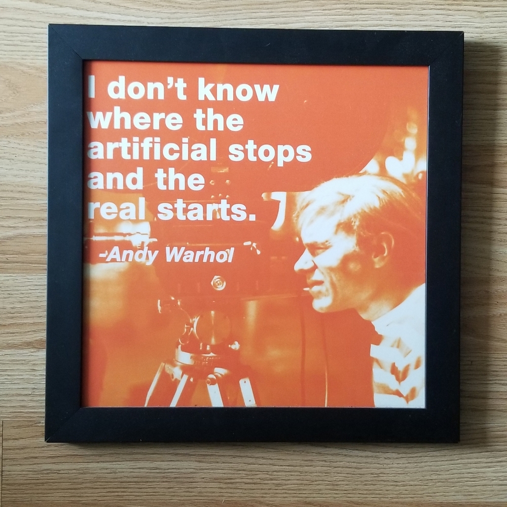Andy Warhol framed 14inx14in